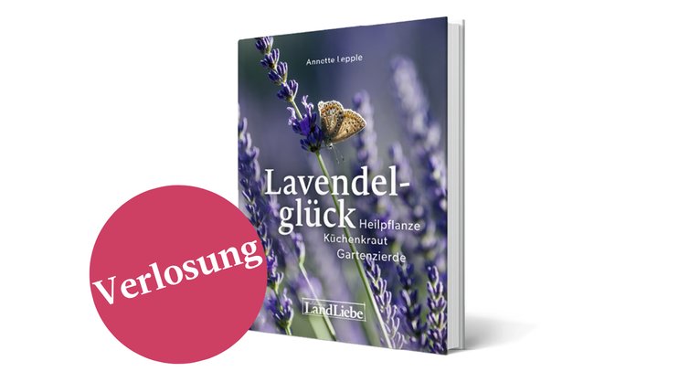 buchverlosung.png