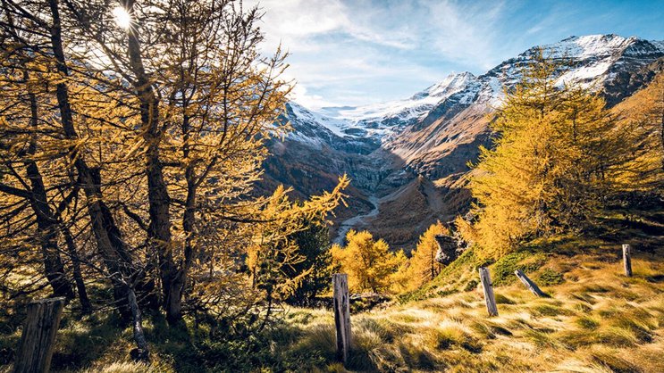 Goldener Start: Nach einem Kaffee auf der Alp Grüm winken wir dem Piz Palü (hinten rechts) und machen uns auf den Weg zur Hochebene Cavaglia.