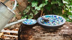 Ein mit Mosaiksteinchen dekorierter Blumentopfuntersetzer lädt mit frischem Wasser gefüllt die Vögel zum Bade.