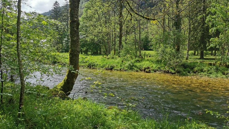 Nachdem die Orbe eine abenteuerliche Reise durch Klüfte und Höhlen gemeistert hat, plätschert sie durch den Talboden bei Vallorbe VD.