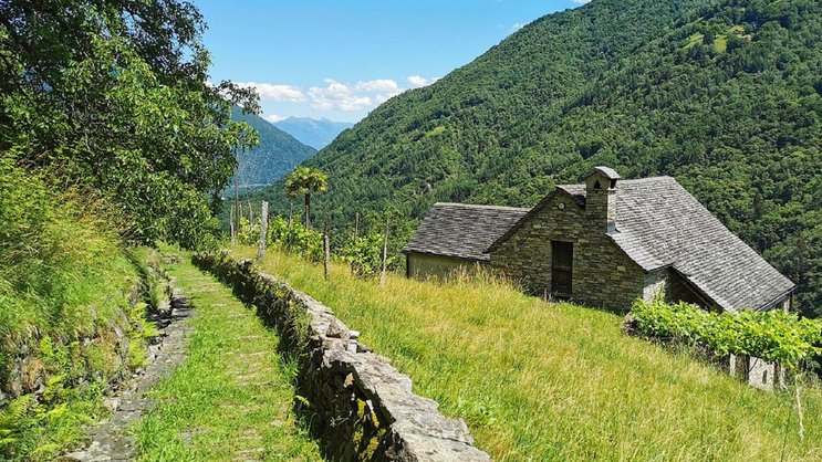 Altes Handwerk: Vielerorts säumen Trockensteinmauern die Wege der Via del Mercato, wie hier beim Abstieg von Calezzo nach Intragna.