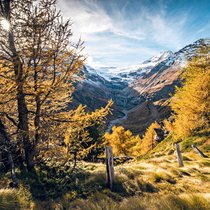 Goldener Start: Nach einem Kaffee auf der Alp Grüm winken wir dem Piz Palü (hinten rechts) und machen uns auf den Weg zur Hochebene Cavaglia.