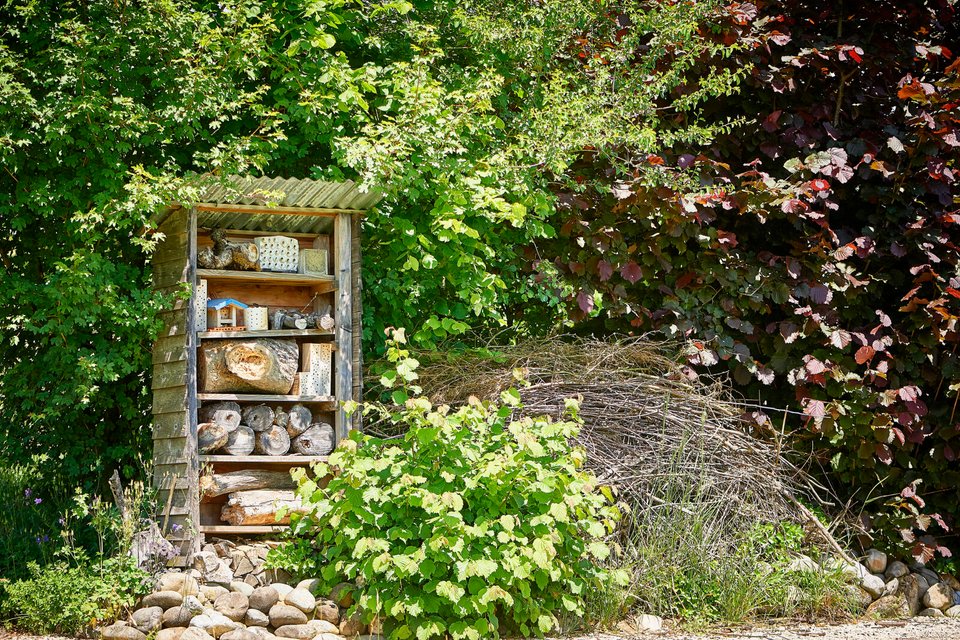 Wildbienen-Nisthilfe und Eidechsenhaufen