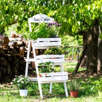 Blumen, Gewürze oder Früchte – welches Töpfchen zuoberst auf dem Treppchen steht, entscheiden Sie!