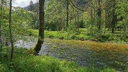 Nachdem die Orbe eine abenteuerliche Reise durch Klüfte und Höhlen gemeistert hat, plätschert sie durch den Talboden bei Vallorbe VD.