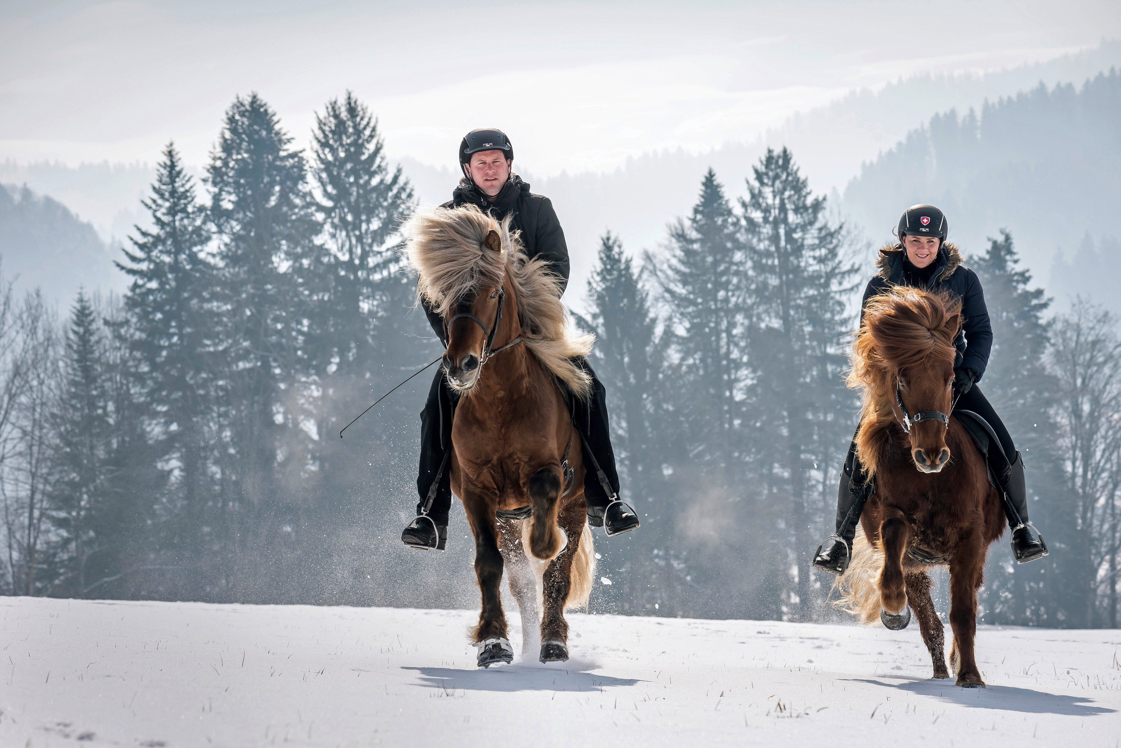 Islandponys: Oliver Egli mit Birkir und Caroline Wyser mit Kjudi