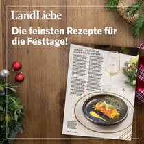 Das perfekte Festtagsmenü