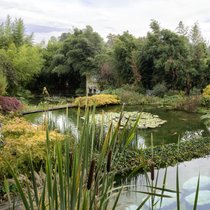 Die Farben des Herbstes zeichnen den Garten: Künstler Jean-Marc Schwaller gestaltet ihn wie ein Gemälde – mit jeder Jahreszeit verändert sich das Bild.