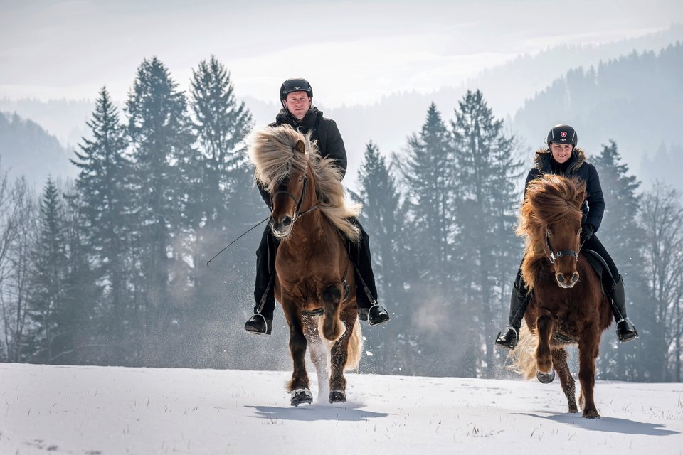 Islandponys: Oliver Egli mit Birkir und Caroline Wyser mit Kjudi