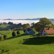 Über dem Bodensee liegt noch Morgennebel, doch die Höhen rund um Schwellbrunn AR sind bereits von der Sonne verwöhnt: Im Aufstieg vom Dorf nach Högg gibt es viel Licht und Weite.