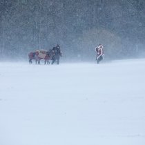 Samichlaus und Esel im Schnee