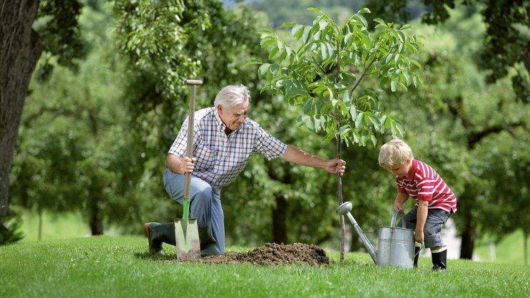 Naturnahe Pflanzenpflege verbindet die Generationen