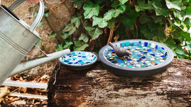 Ein mit Mosaiksteinchen dekorierter Blumentopfuntersetzer lädt mit frischem Wasser gefüllt die Vögel zum Bade.