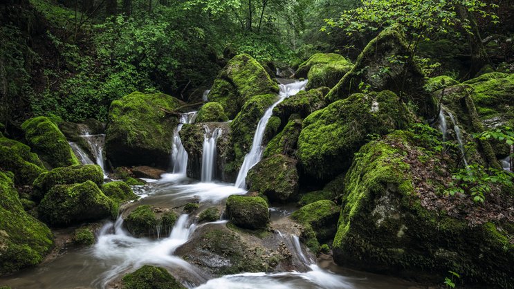 In der Twannbachschlucht zwischen Magglingen und Twann BE braucht es gutes Schuhwerk – und viel Zeit zum Bestaunen der Moos- und Felsformationen.