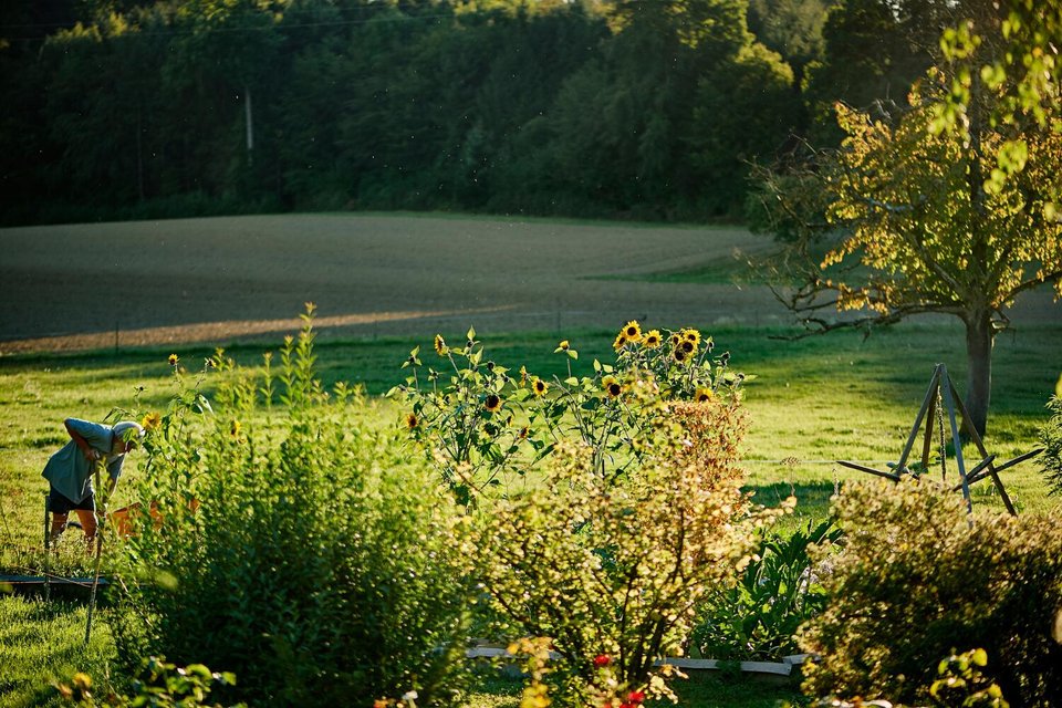 Garten5