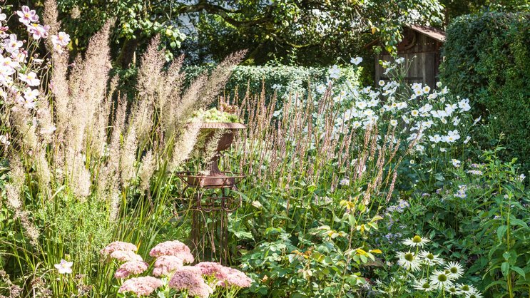 Gräser und spät blühende Stauden wie Fetthenne und Herbstanemone erfreuen im Spätsommer und bis in den Herbst hinein.