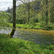Nachdem die Orbe eine abenteuerliche Reise durch Klüfte und Höhlen gemeistert hat, plätschert sie durch den Talboden bei Vallorbe VD.