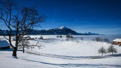 Wow! An solchen Tagen wird der Hausberg der Zugerinnen und Zuger zur Meeresdestination. Der Blick auf den nebelverhangenen See ist grandios.