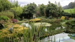 Die Farben des Herbstes zeichnen den Garten: Künstler Jean-Marc Schwaller gestaltet ihn wie ein Gemälde – mit jeder Jahreszeit verändert sich das Bild.