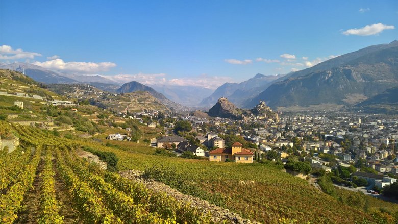 Gemütliche Wanderung durch die Weinberge des Mont d’Orge oberhalb von Sion: Über die langen Reihen von Rebstöcken hinweg geniesst man einen schönen Blick auf den Walliser Hauptort.