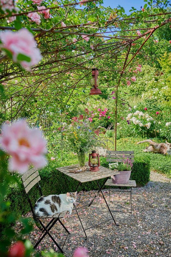 Garten mit Kater Nemo auf Gartenstuhl